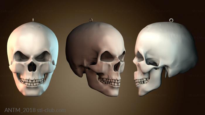 Анатомия скелеты и черепа Ожерелье с черепом