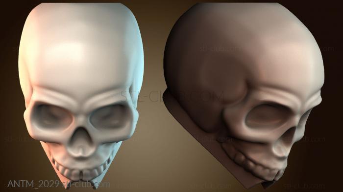 Анатомия скелеты и черепа Простой череп для мытья рук
