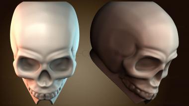 3D модель Простой череп для мытья рук (STL)