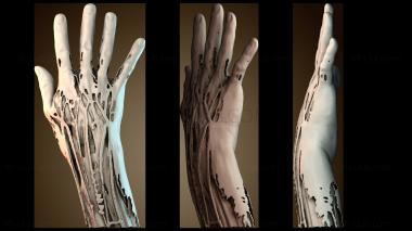 3D модель ANTM_2032 (STL)