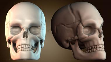 3D модель ANTM_2033 (STL)
