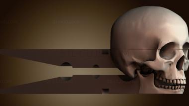 3D модель ANTM_2038 (STL)