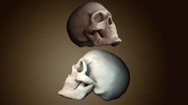 3D модель ANTM_2039 (STL)