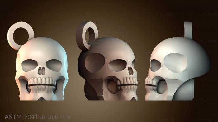 Анатомия скелеты и черепа ANTM_2041