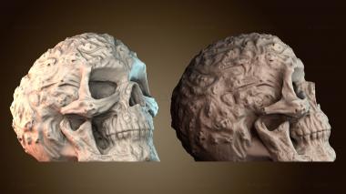 3D модель ANTM_2042 (STL)