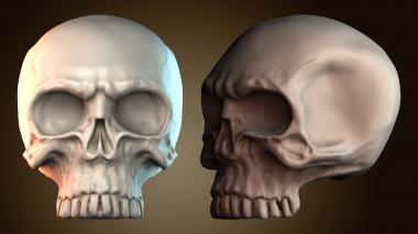 3D модель ANTM_2043 (STL)