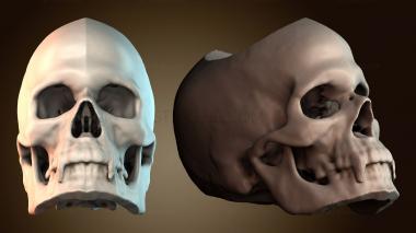 3D модель ANTM_2048 (STL)