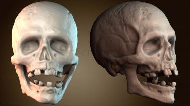 3D модель ANTM_2049 (STL)