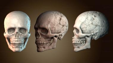 3D модель ANTM_2050 (STL)