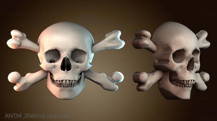 Анатомия скелеты и черепа ANTM_2060