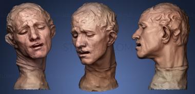 3D model Heroic Head of Pierre de Wissant (STL)