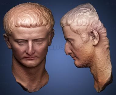 3D model Tiberius Carlos Museum Emory University (STL)