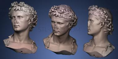 3D model Auguste couronn de chne (STL)