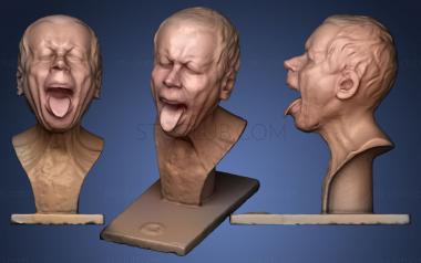 3D мадэль Исследование персонажа Сильный запах Мессершмидт (STL)