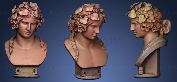 Antinous head with leaves