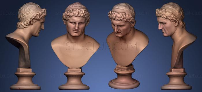 3D model Busto de Seleuco I Nicator V 144 (STL)