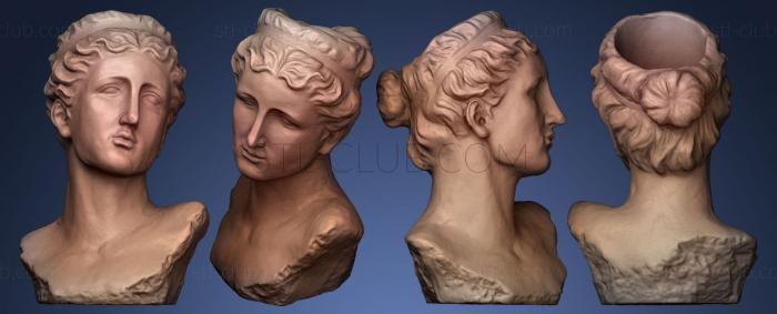 Female Head Statue with peel 3d