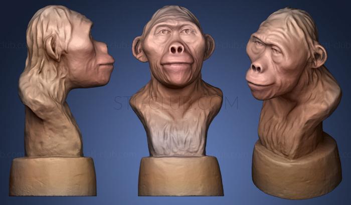 3D model Australopithecus Lucy 3 (STL)