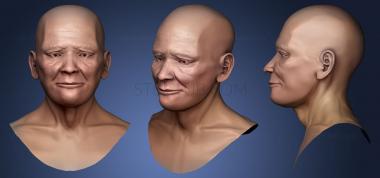 3D model Head Study Decimated (STL)