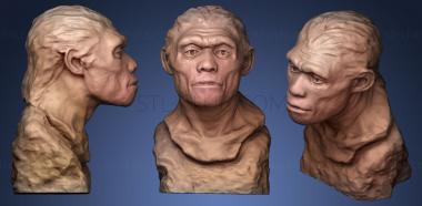 3D model Homo heidelbergensis (STL)