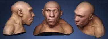 3D модель Человек неандертальский (STL)
