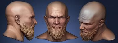 3D model Male Head Sculpt Printable (STL)