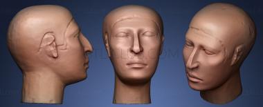 3D model Reserve head of Nefer (STL)