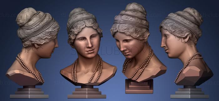3D model 40 Bust of Aphrodite (STL)
