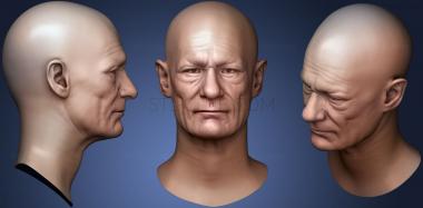 3D модель Скульптура мужской головы 03 (STL)