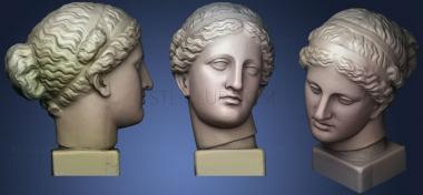 3D model Venus Of Arles Head (STL)