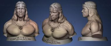 3D model Conan The Barbarian Arnold schwarzenegger (STL)