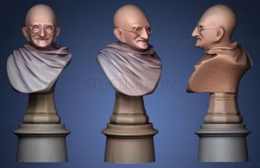 3D model Ivory Gandhi Junjunwalla (STL)