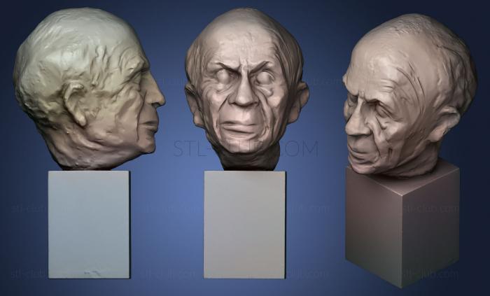 3D model Retrato de Picasso (STL)
