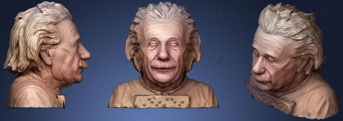 3D model Einstein With Braille (STL)