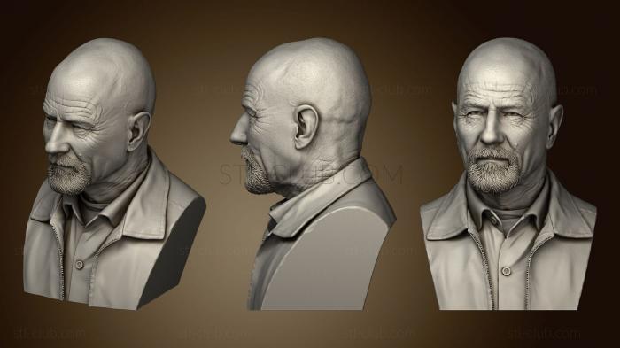 3D model Mr White Bust (STL)