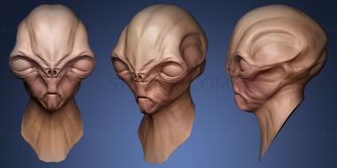 3D model Creature Head big eyes (STL)