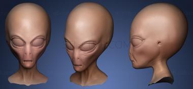 3D model Creature Head Sculpt 6 (STL)