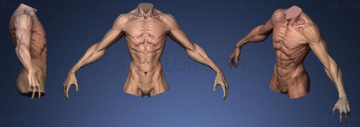 Creature Upper Body 1