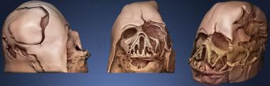 3D model Darth Vader Melted Mask (STL)