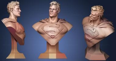 3D model Man Of Steel Bust (Fan Art) (STL)