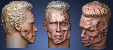 3D model Terminator 2 Head Scan (STL)