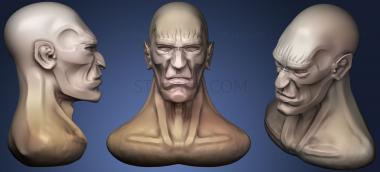 3D model Male Head cartoon style (STL)
