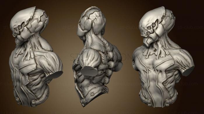 3D model Biomorph Bust (STL)