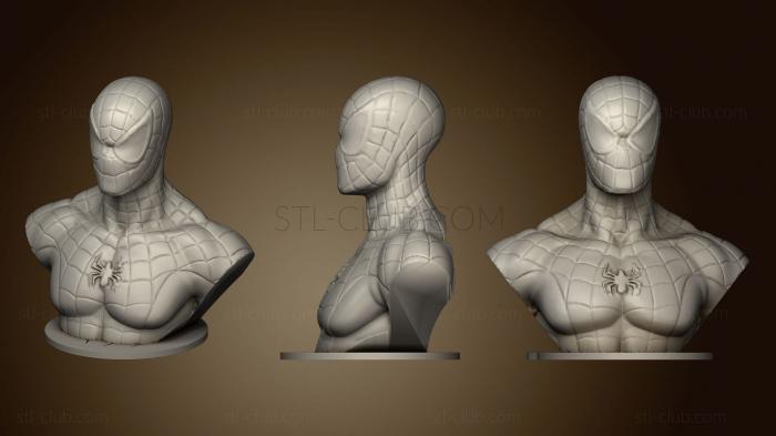 3D model Black Spider Man (STL)