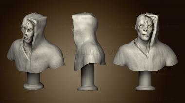 3D модель Бюст Дарта Нигилуса 2 (STL)