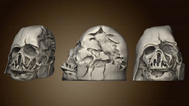 3D model Darth Vader Melted Mask (STL)