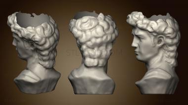 3D model David planter bust (STL)