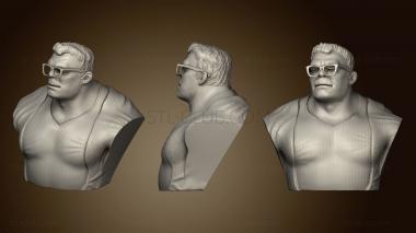 3D model Dr Hulk (Bust) (STL)