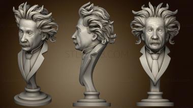 3D мадэль Einstein (STL)