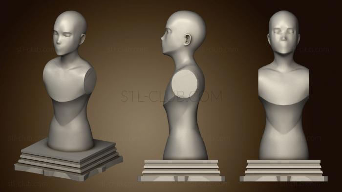 3D model Fate Zero Master Class Chess Piece (STL)